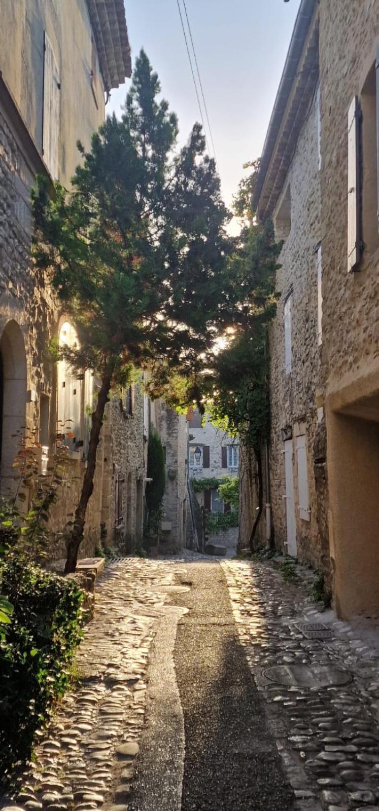 Maison Ancienne Romantique Avec Terrasse Panoramique Везон ла Ромен Екстериор снимка